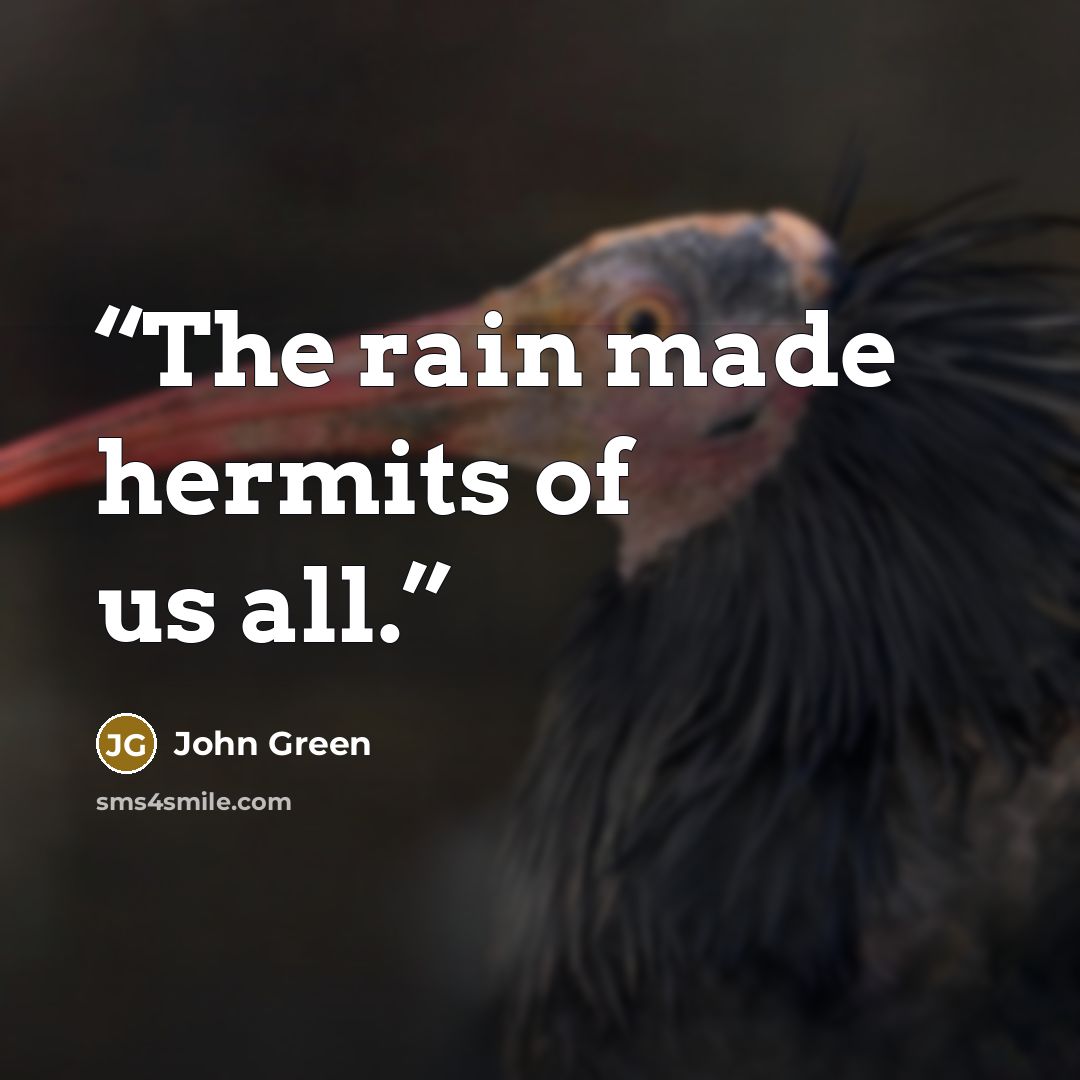“The rain made hermits of us all.” quote by John Green