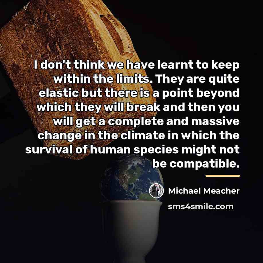 “I don't think we have learnt to keep within the…” quote by Michael Meacher