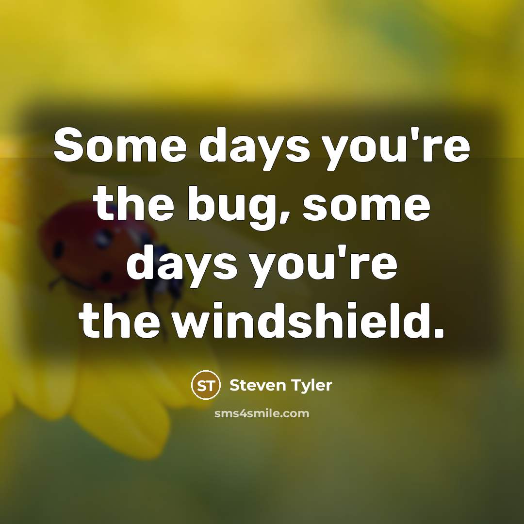 “Some days you're the bug, some days you're the windshield.…” quote by Steven Tyler