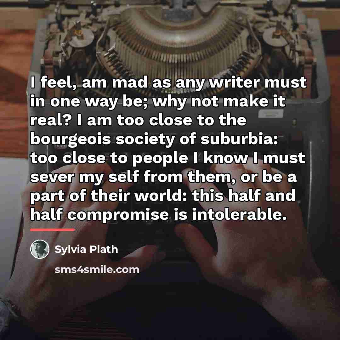 “I feel, am mad as any writer must in one…” quote by Sylvia Plath