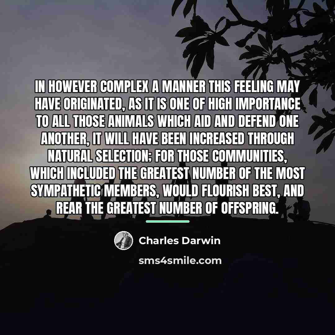 “In however complex a manner this feeling may have originated,…” quote by Charles Darwin
