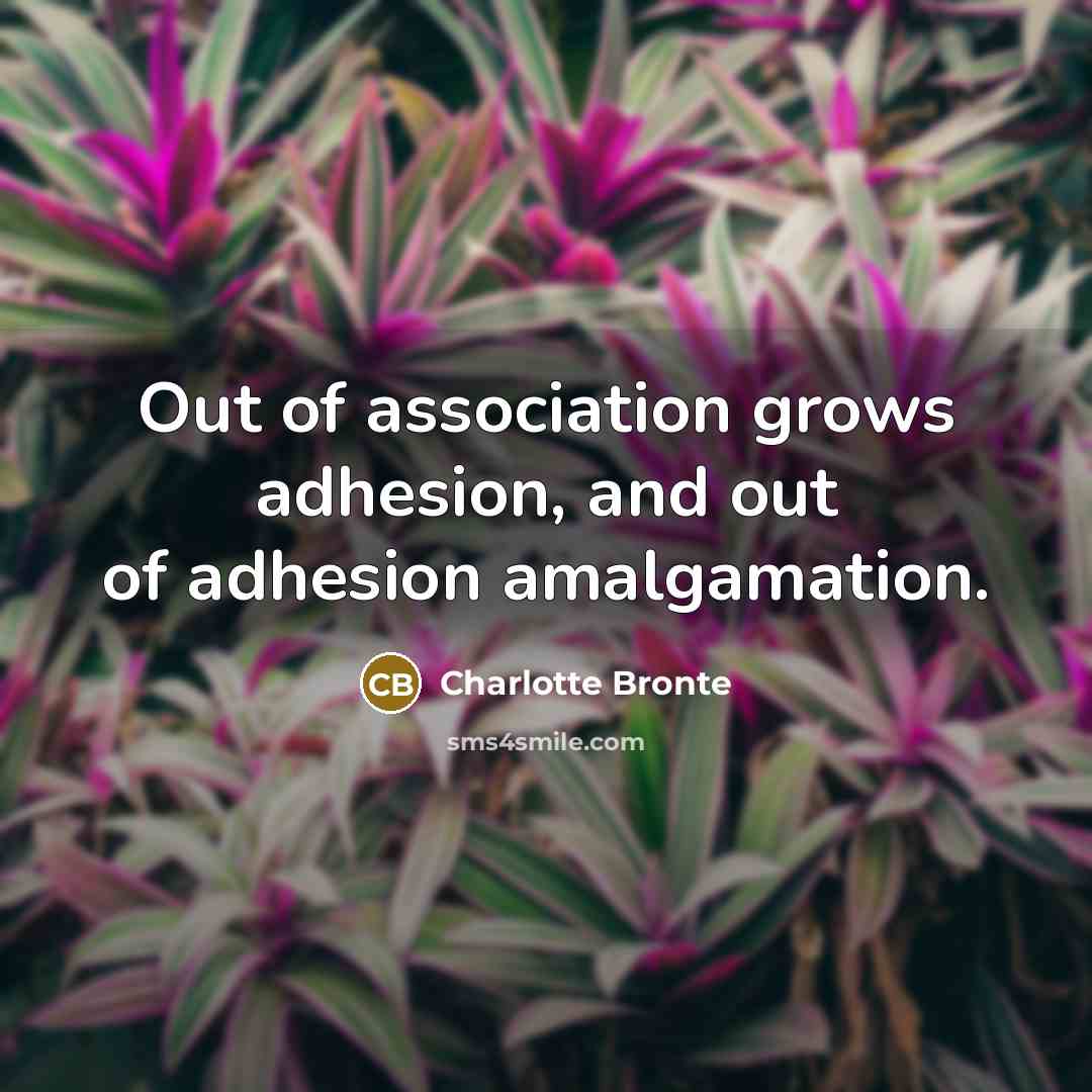 “Out of association grows adhesion, and out of adhesion amalgamation.…” quote by Charlotte Bronte