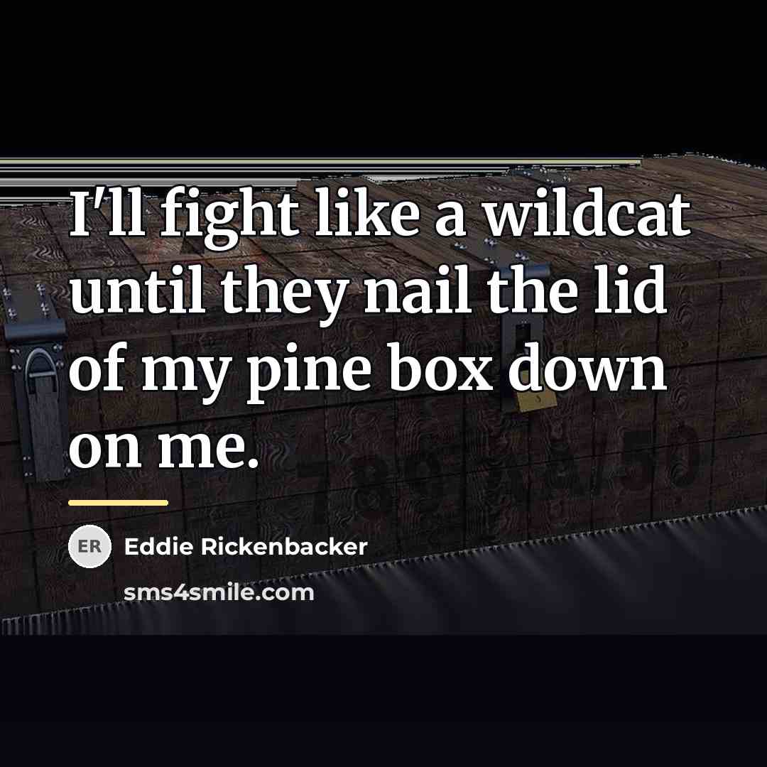 “I'll fight like a wildcat until they nail the lid…” quote by Eddie Rickenbacker