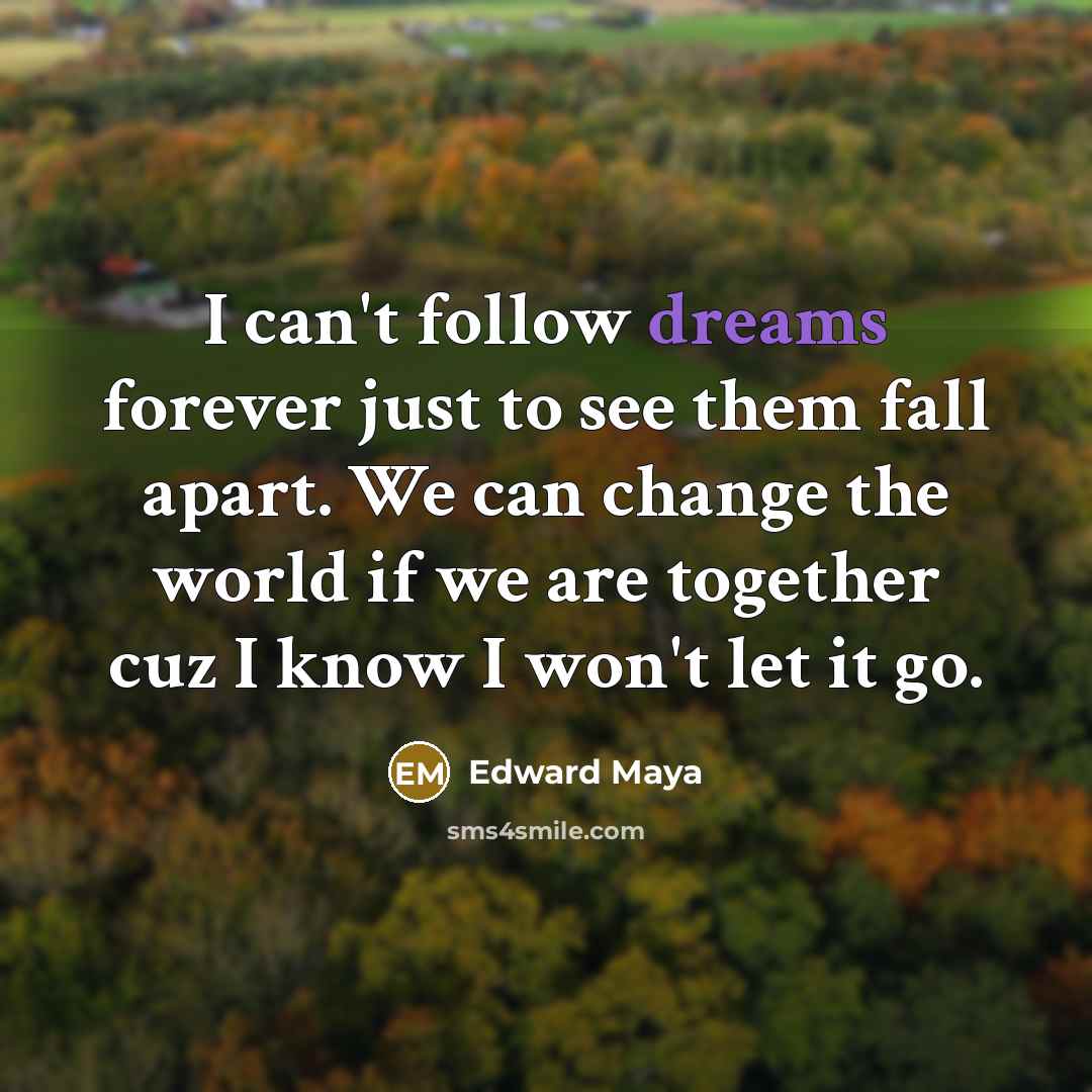 “I can't follow dreams forever just to see them fall…” quote by Edward Maya