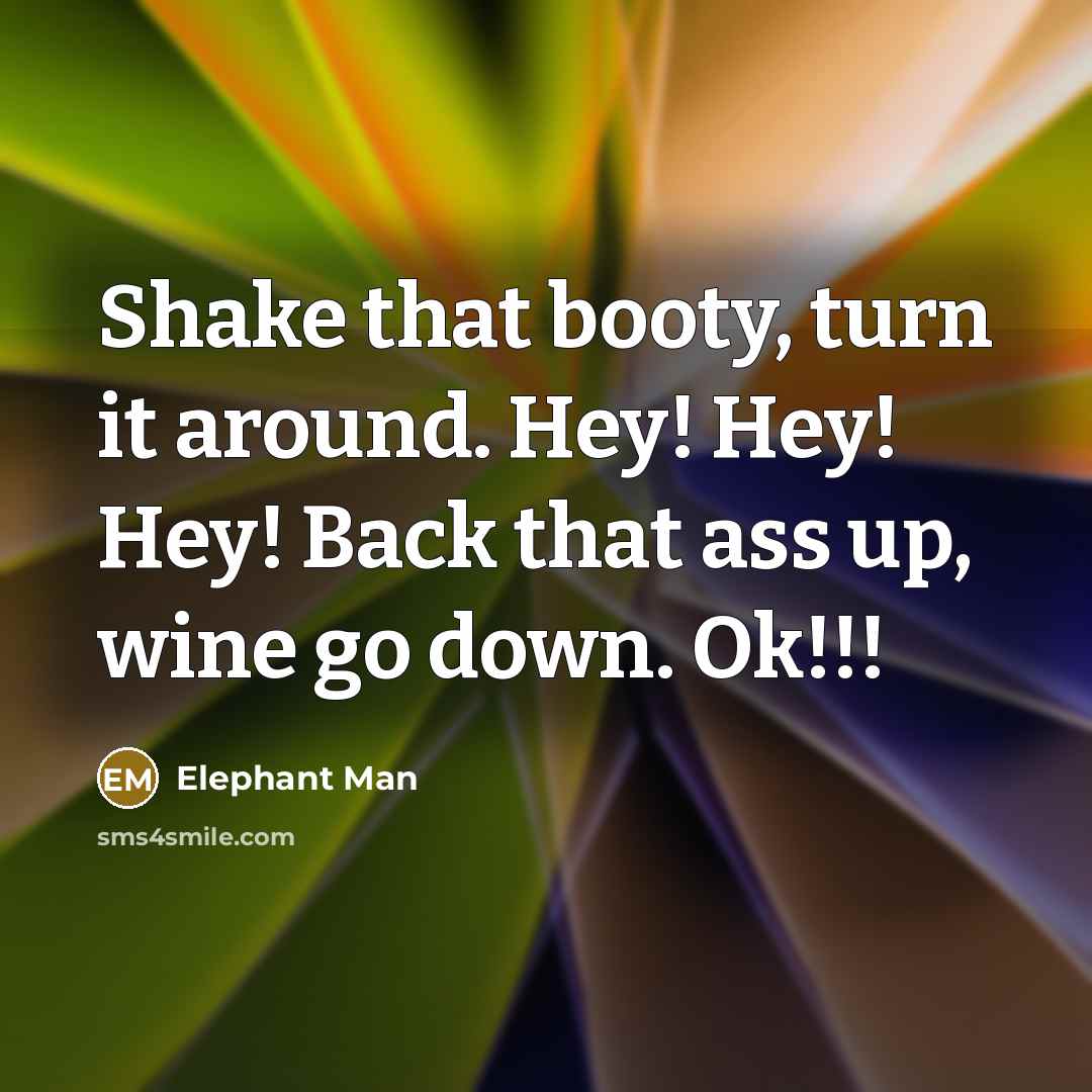 “Shake that booty, turn it around. Hey! Hey! Hey! Back that ass up, wine go down. Ok!!!” quote by Elephant Man