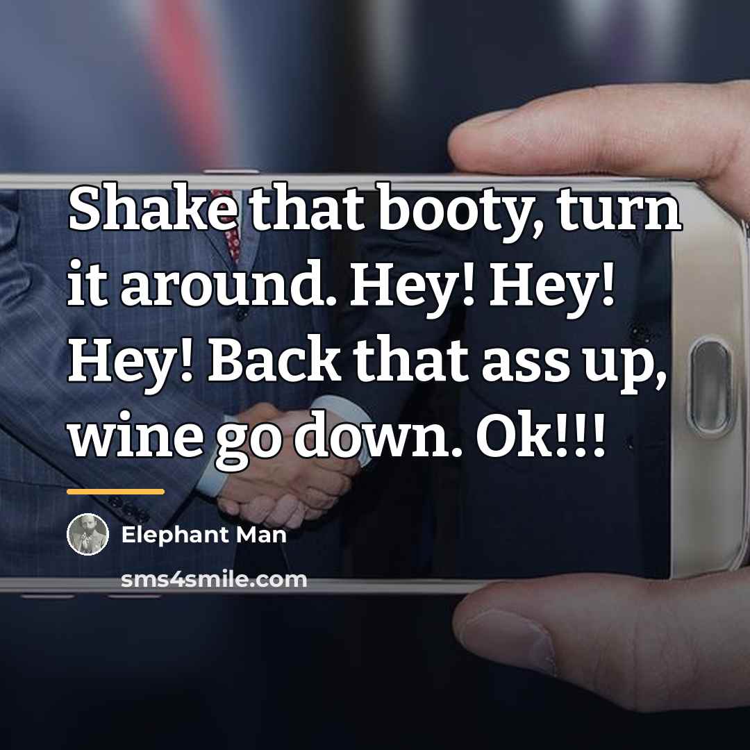 “Shake that booty, turn it around. Hey! Hey! Hey! Back…” quote by Elephant Man