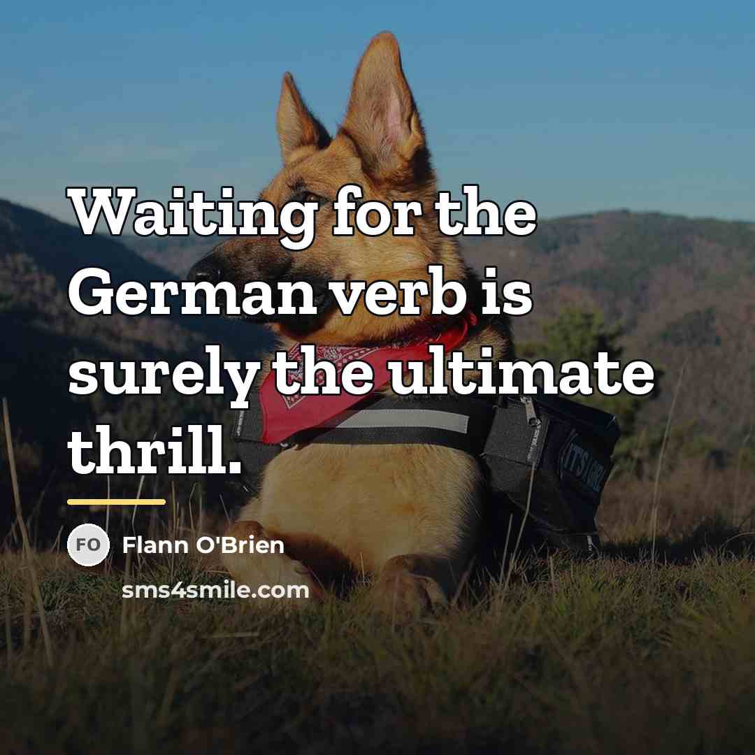 “Waiting for the German verb is surely the ultimate thrill.…” quote by Flann O'Brien