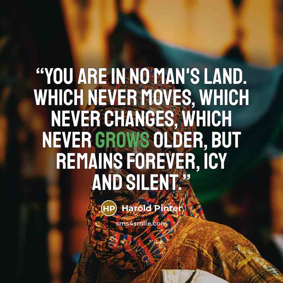 “You are in no man's land. Which never moves, which never changes, which never grows older, but remains forever, icy and silent.” quote by Harold Pinter