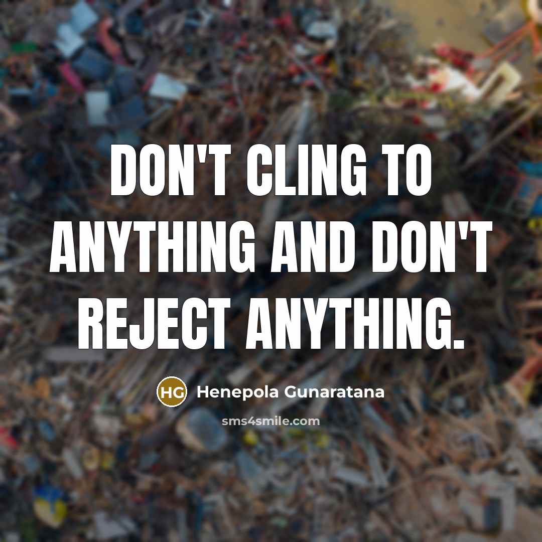 “Don't cling to anything and don't reject anything.…” quote by Henepola Gunaratana