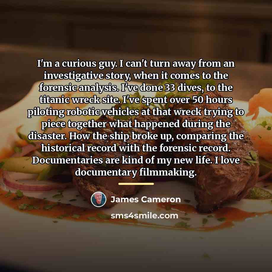 “I'm a curious guy. I can't turn away from an…” quote by James Cameron
