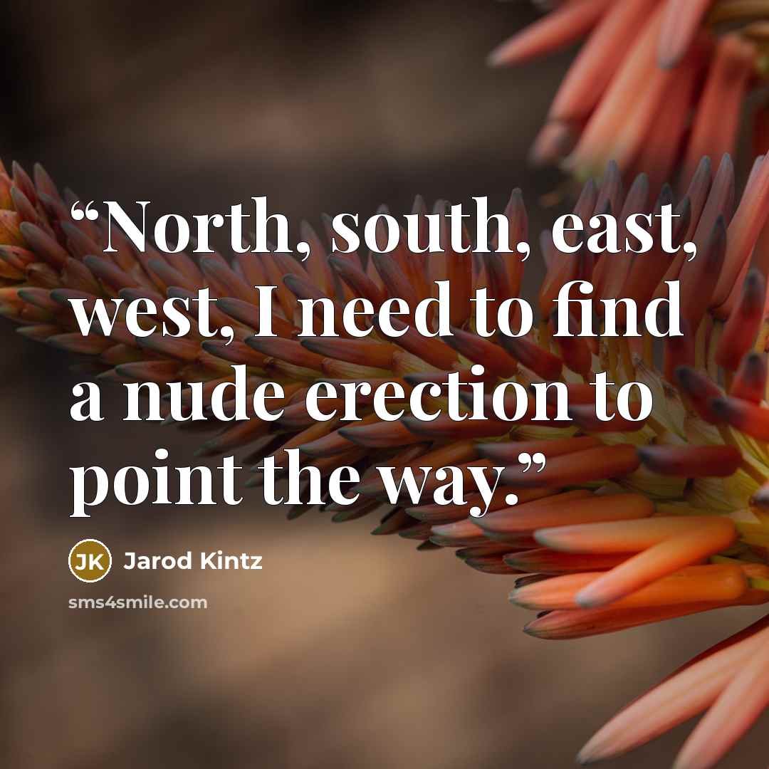 “North, south, east, west, I need to find a nude erection to point the way.” quote by Jarod Kintz