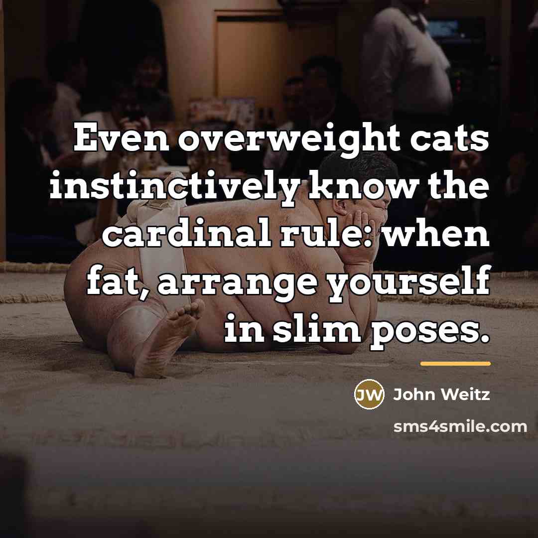 “Even overweight cats instinctively know the cardinal rule: when fat,…” quote by John Weitz
