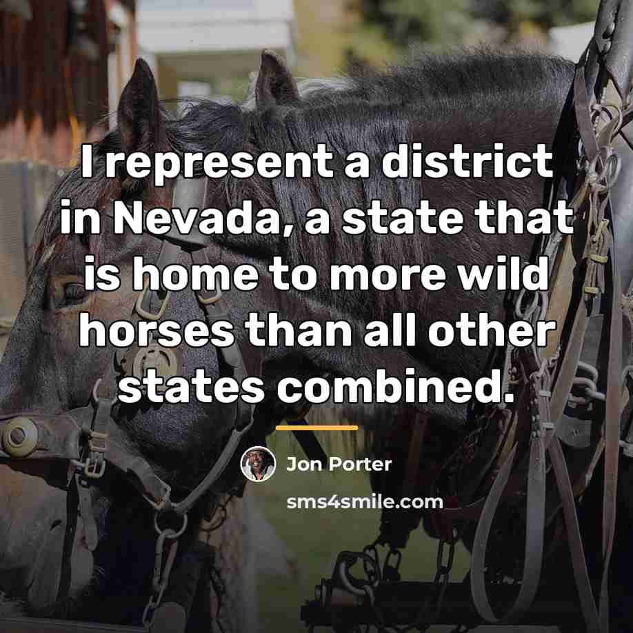 “I represent a district in Nevada, a state that is…” quote by Jon Porter