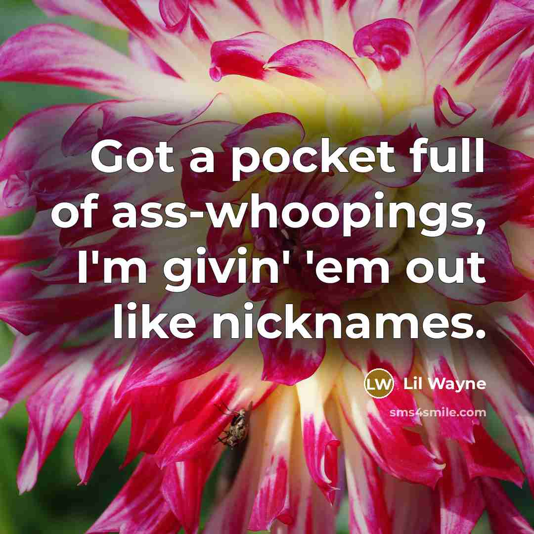 “Got a pocket full of ass-whoopings, I'm givin' 'em out like nicknames.” quote by Lil Wayne