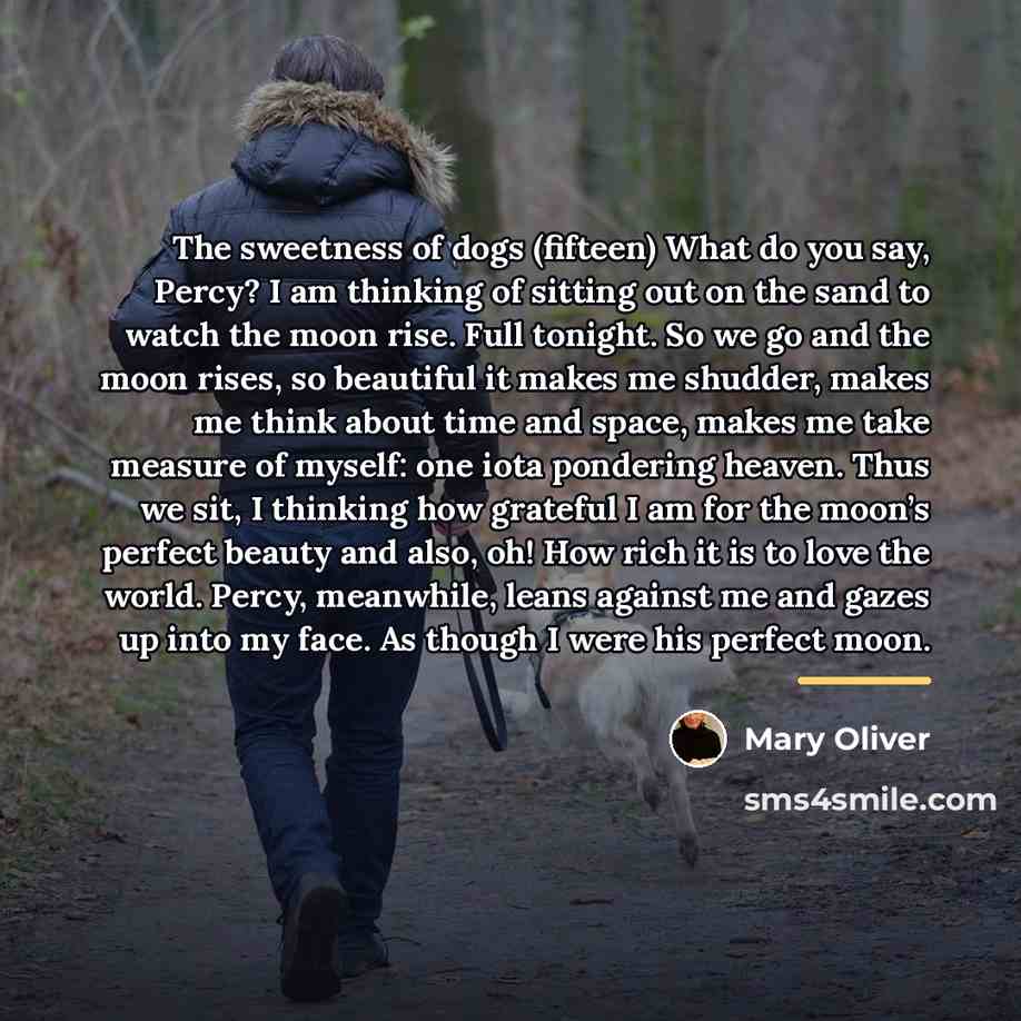 “The sweetness of dogs (fifteen) What do you say, Percy?…” quote by Mary Oliver