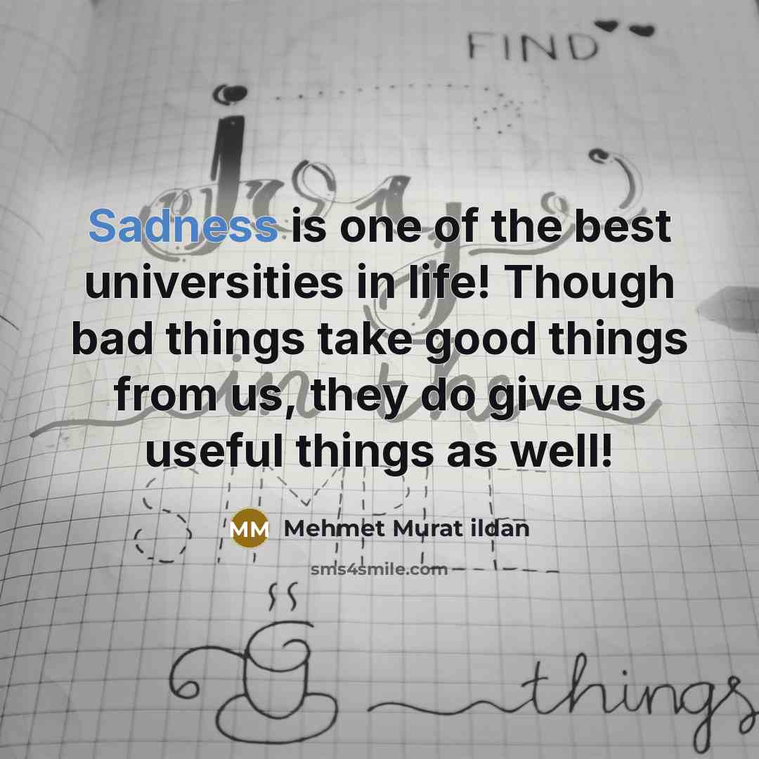 “Sadness is one of the best universities in life! Though…” quote by Mehmet Murat Ildan
