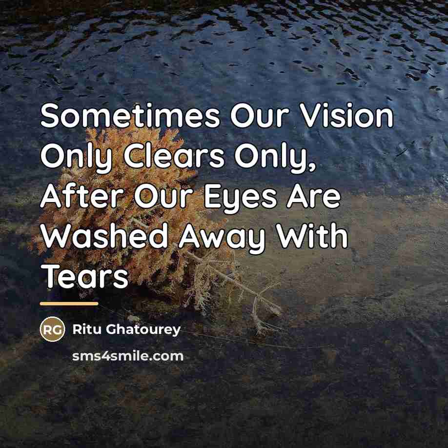 “Sometimes Our Vision Only Clears Only, After Our Eyes Are…” quote by Ritu Ghatourey