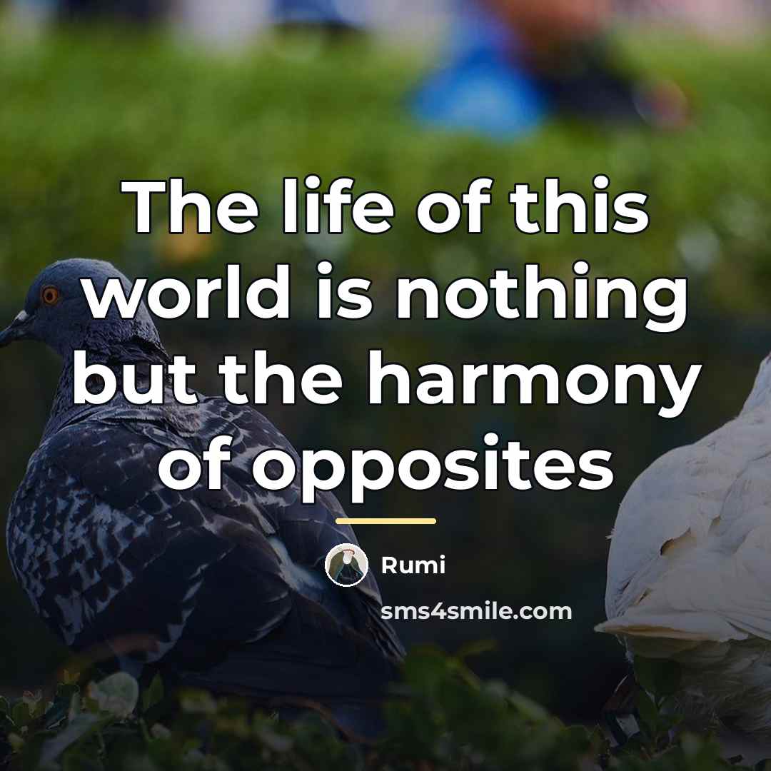 “The life of this world is nothing but the harmony…” quote by Rumi