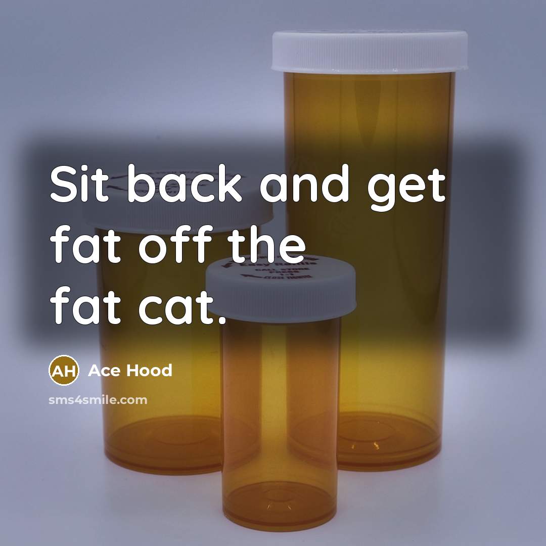 “Sit back and get fat off the fat cat.” quote by Ace Hood