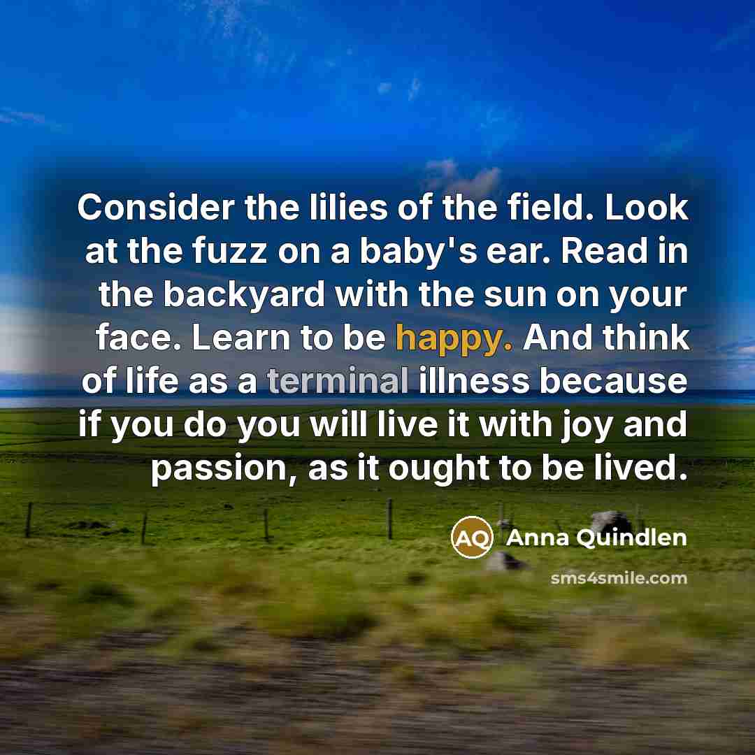 “Consider the lilies of the field. Look at the fuzz…” quote by Anna Quindlen