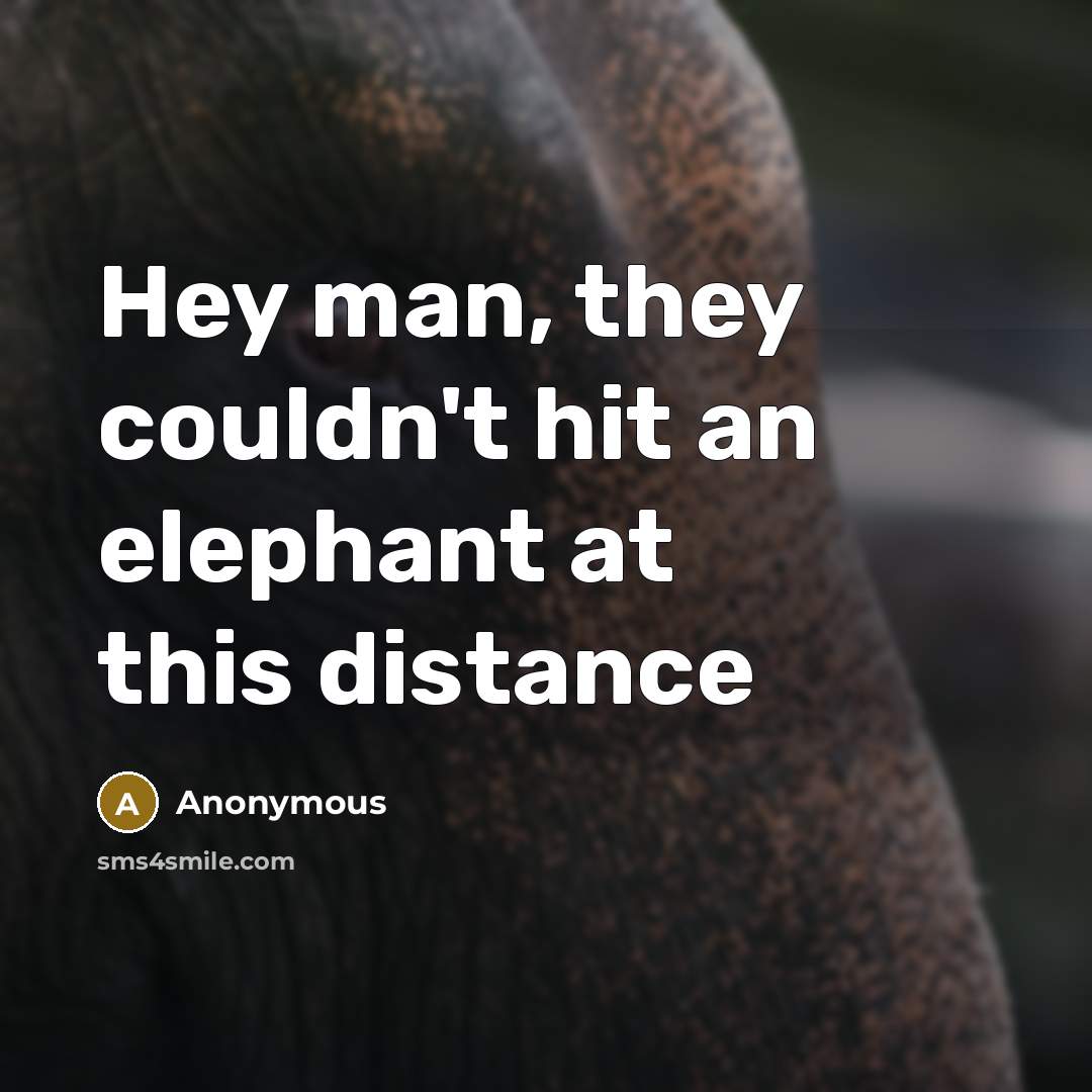 “Hey man, they couldn't hit an elephant at this distance…” quote by Anonymous