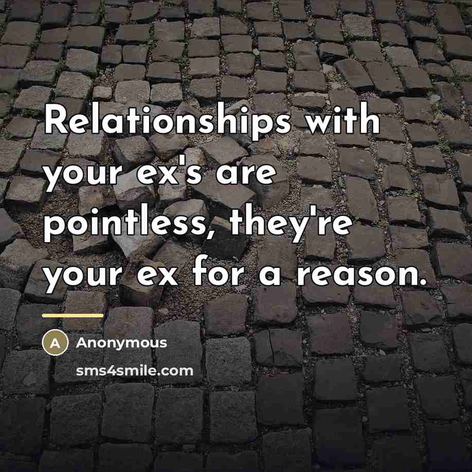 “Relationships with your ex's are pointless, they're your ex for…” quote by Anonymous