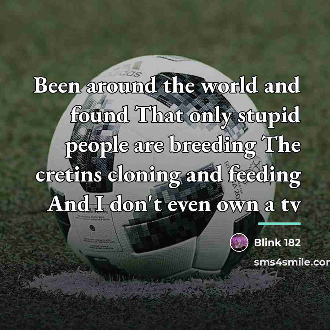 “Been around the world and found That only stupid people…” quote by Blink 182