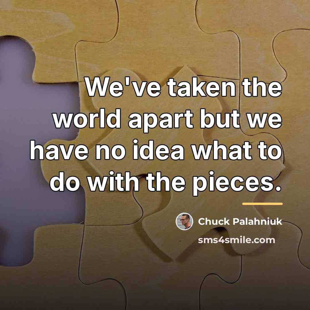 “We've taken the world apart but we have no idea…” quote by Chuck Palahniuk
