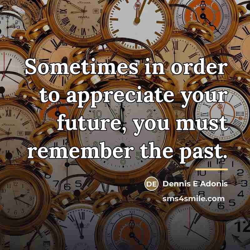 “Sometimes in order to appreciate your future, you must remember…” quote by Dennis E Adonis