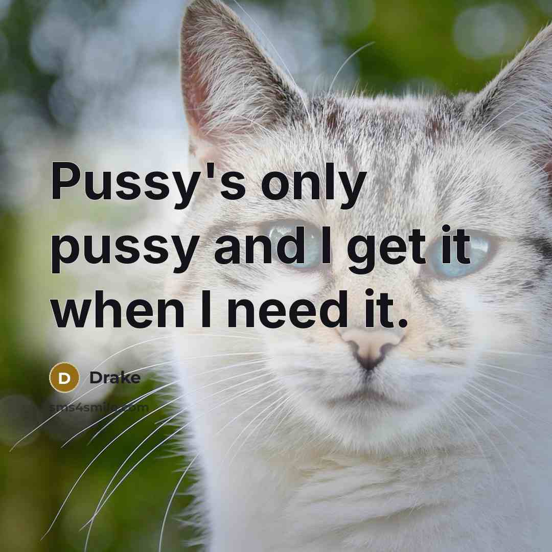 “Pussy's only pussy and I get it when I need it.” quote by Drake
