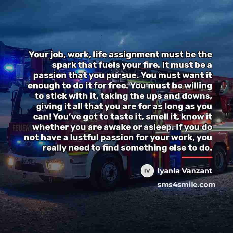 “Your job, work, life assignment must be the spark that…” quote by Iyanla Vanzant