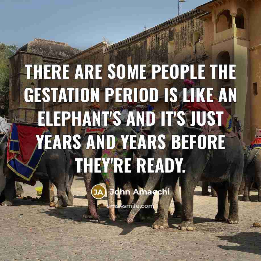 “There are some people the gestation period is like an…” quote by John Amaechi