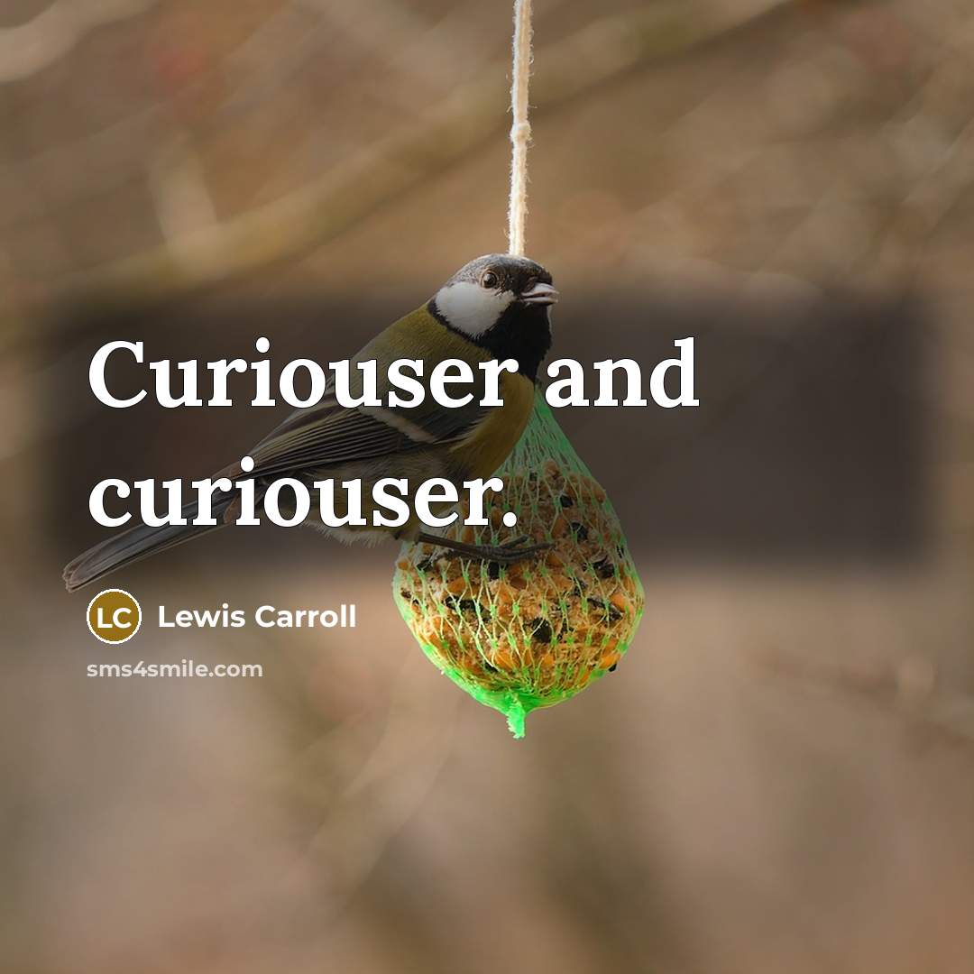 “Curiouser and curiouser.” quote by Lewis Carroll