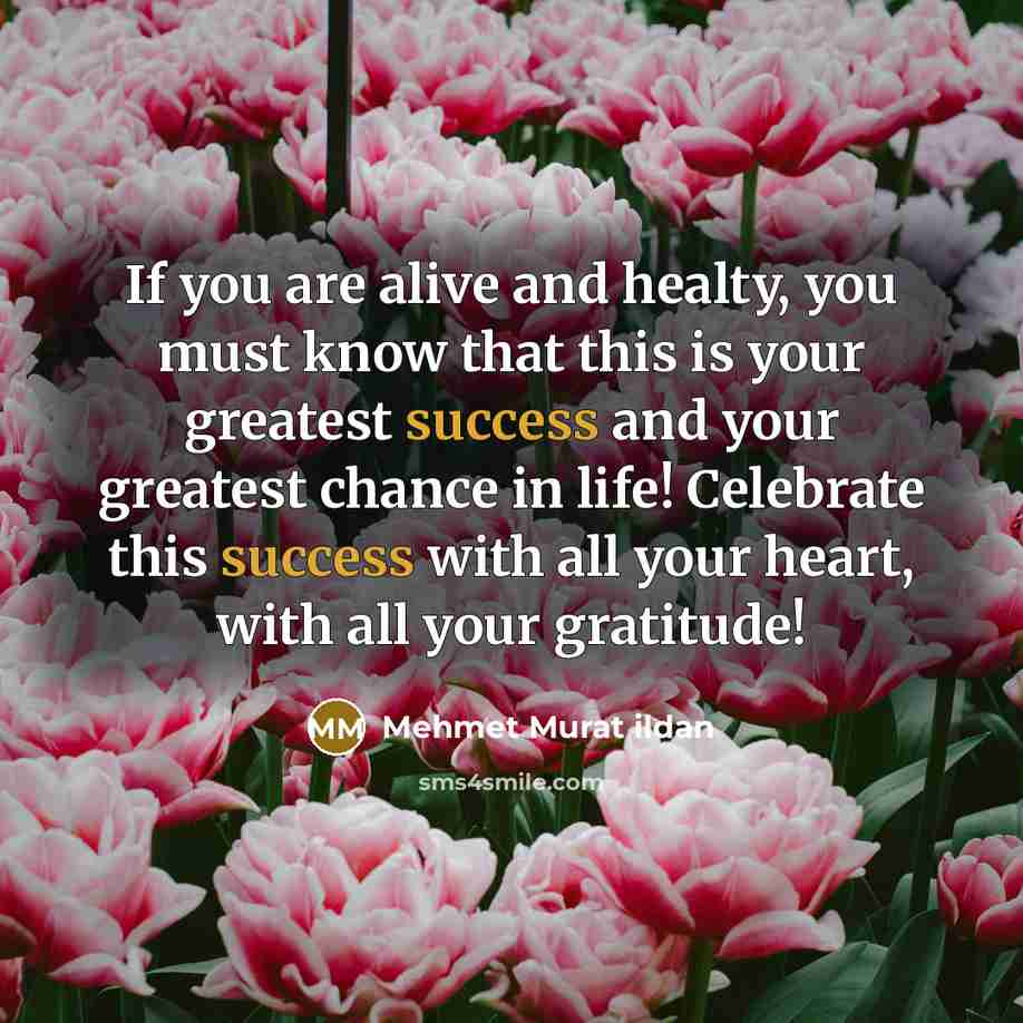 “If you are alive and healty, you must know that…” quote by Mehmet Murat Ildan