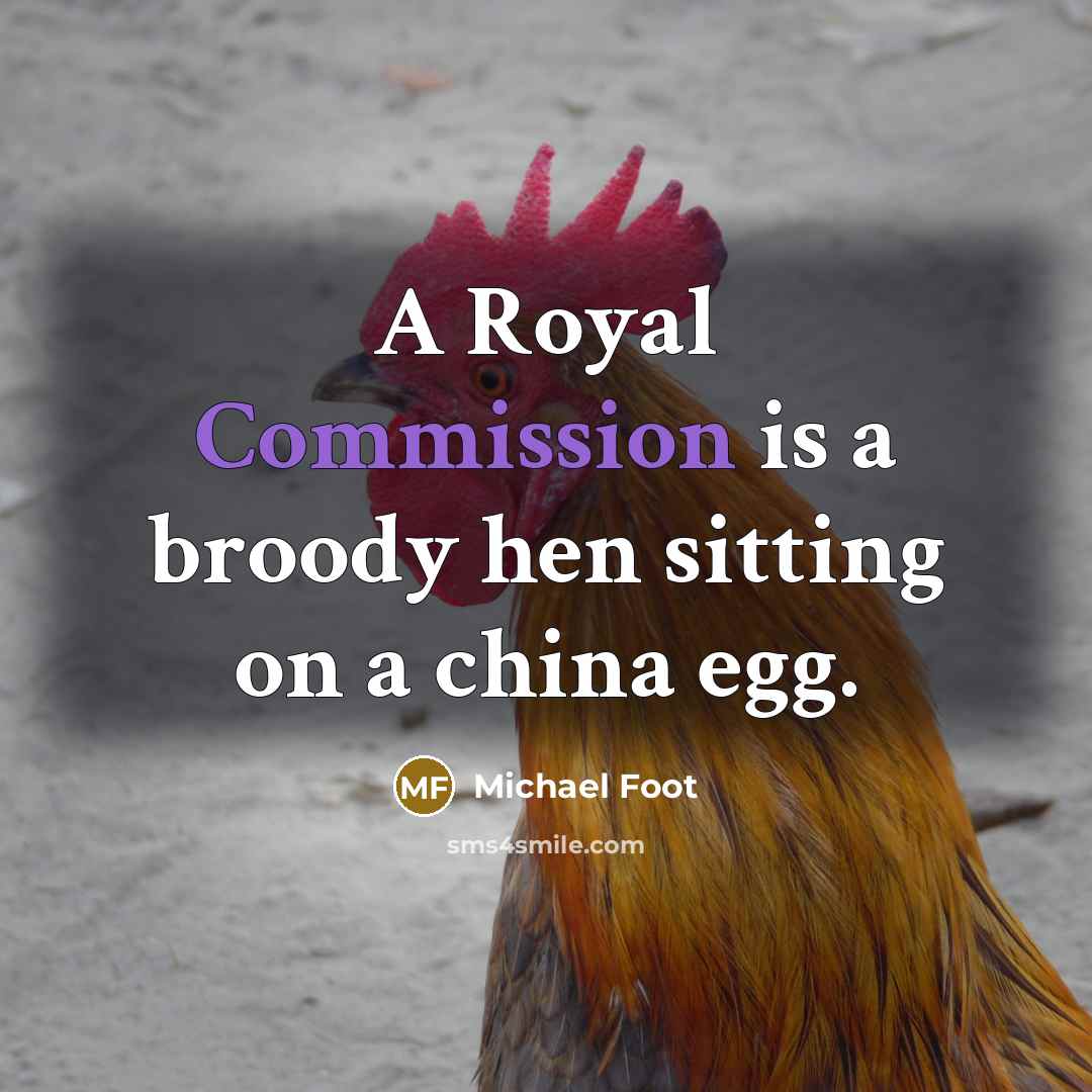 “A Royal Commission is a broody hen sitting on a china egg.” quote by Michael Foot