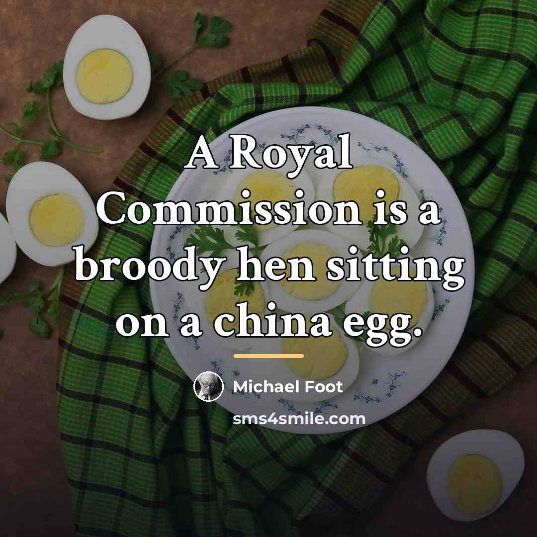 “A Royal Commission is a broody hen sitting on a…” quote by Michael Foot