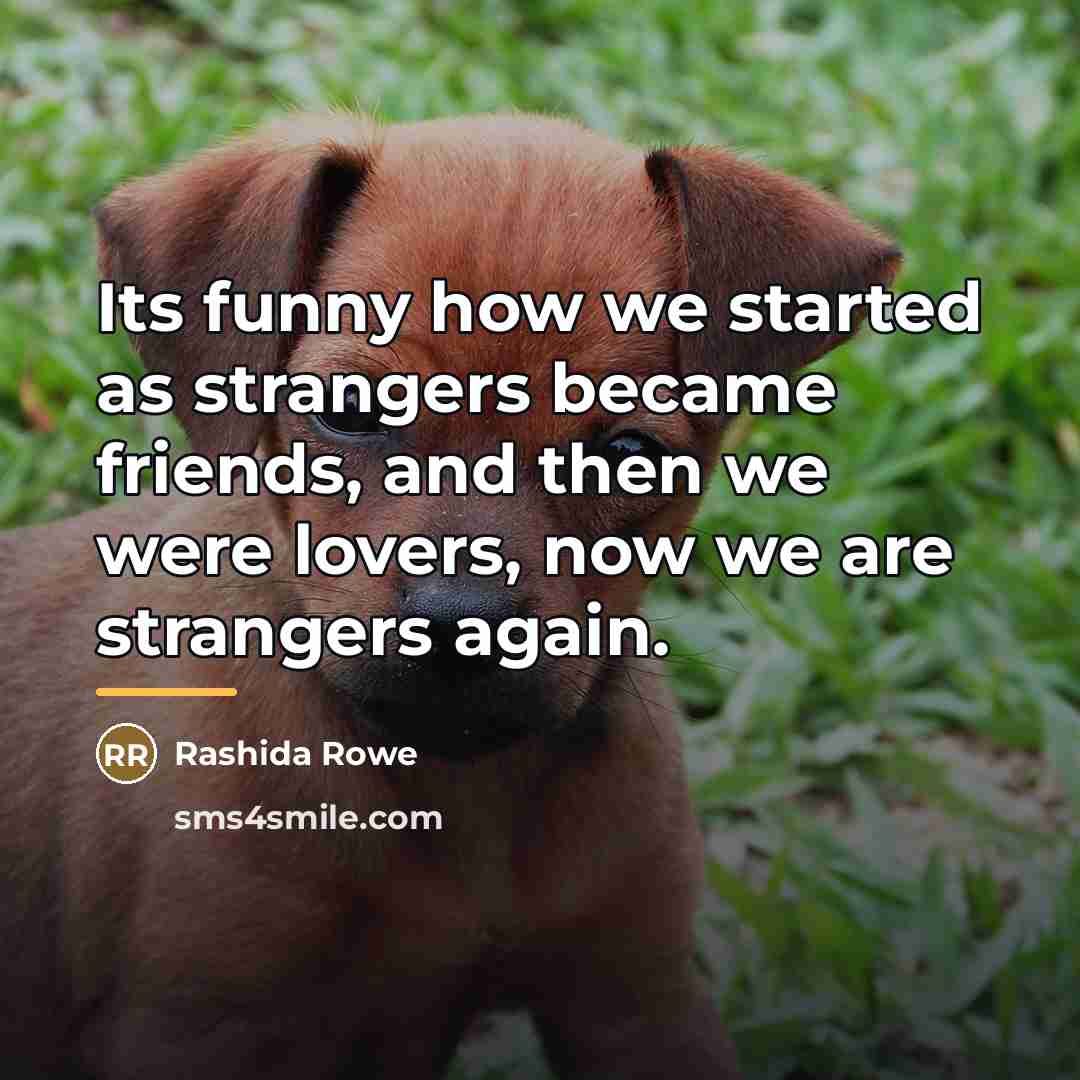 “Its funny how we started as strangers became friends, and…” quote by Rashida Rowe