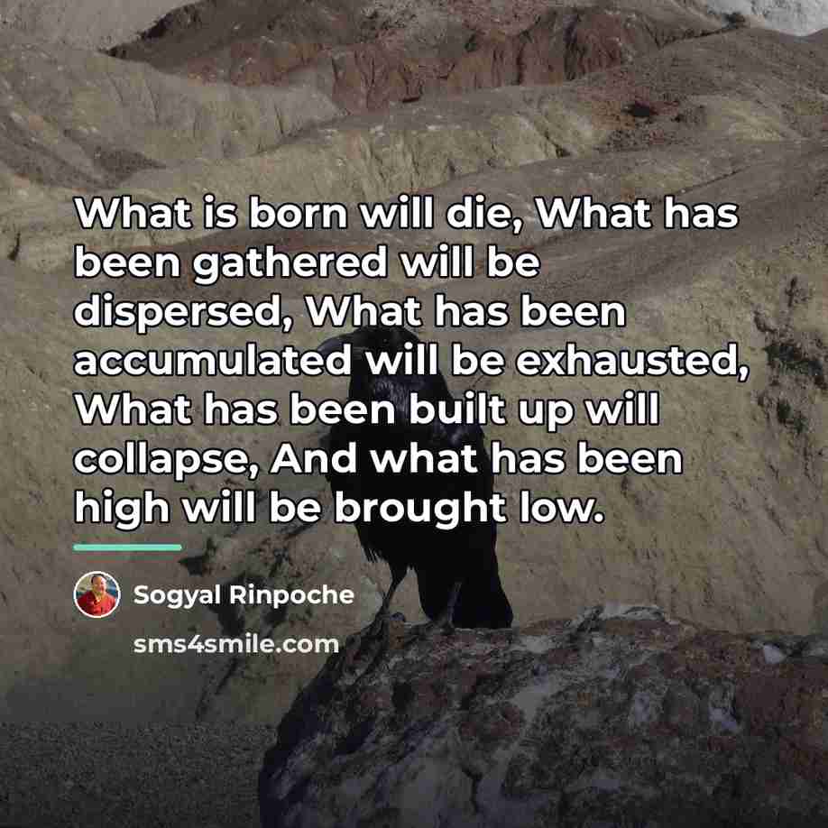 “What is born will die, What has been gathered will…” quote by Sogyal Rinpoche