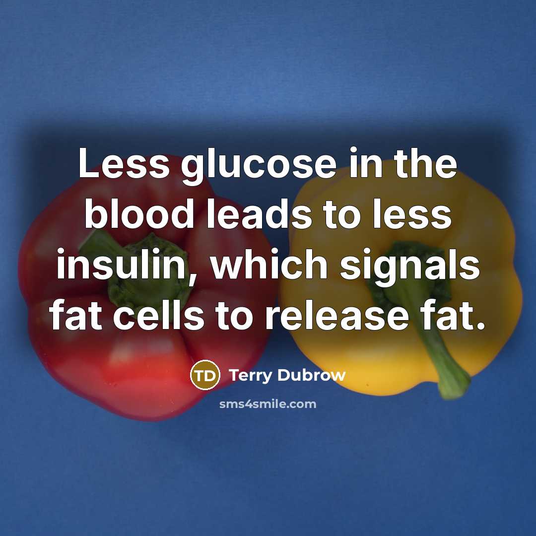 “Less glucose in the blood leads to less insulin, which…” quote by Terry Dubrow