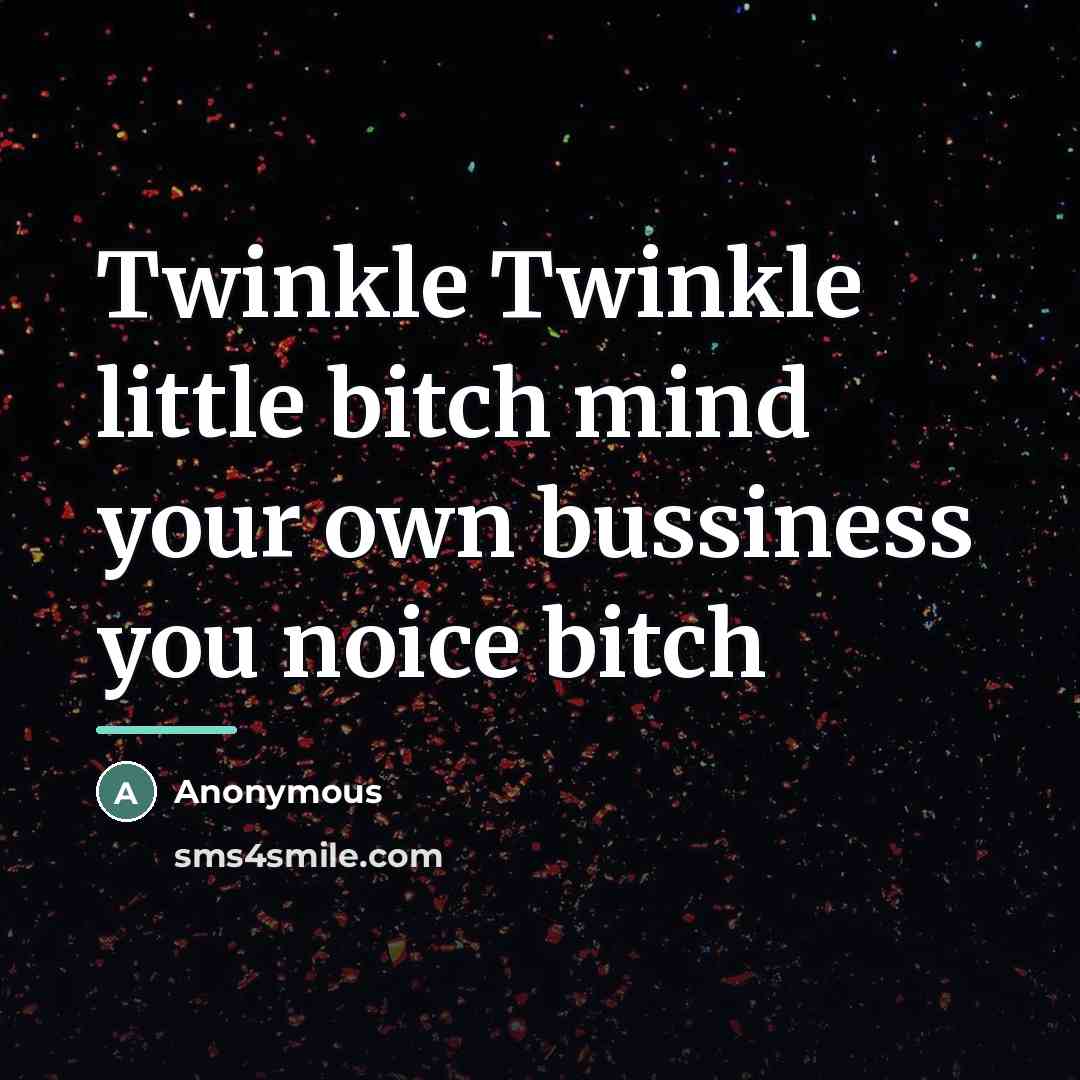 “Twinkle Twinkle little bitch mind your own bussiness you noice…” quote by Anonymous