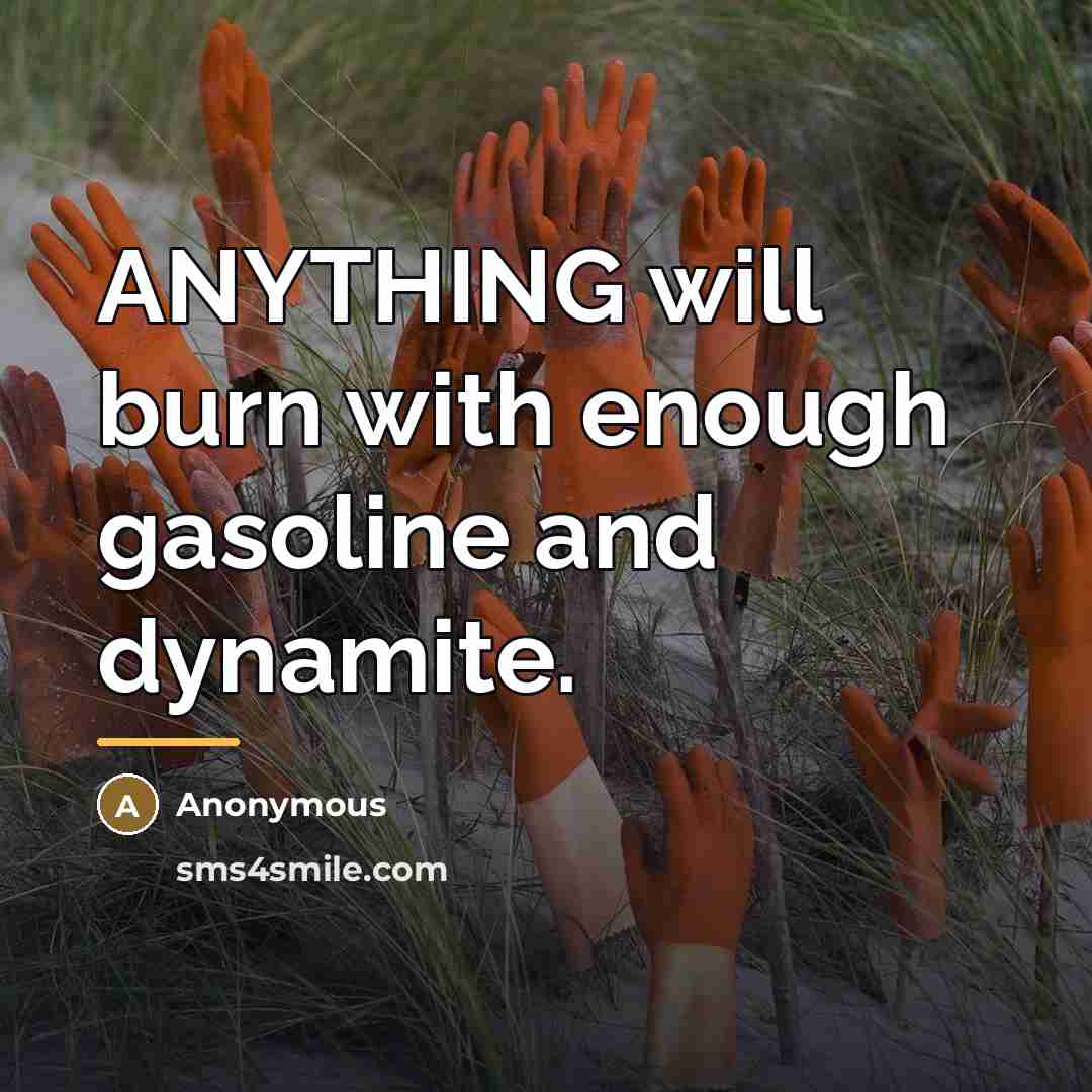 “ANYTHING will burn with enough gasoline and dynamite.…” quote by Anonymous