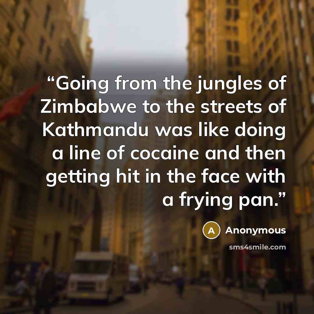“Going from the jungles of Zimbabwe to the streets of Kathmandu was like doing a line of cocaine and then getting hit in the face with a frying pan.” quote by Anonymous