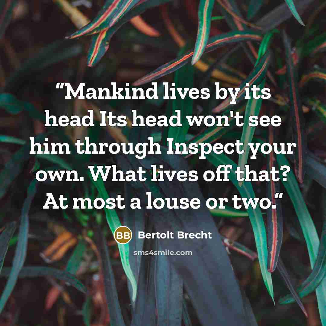 “Mankind lives by its head Its head won't see him through Inspect your own. What lives off that? At most a louse or two.” quote by Bertolt Brecht