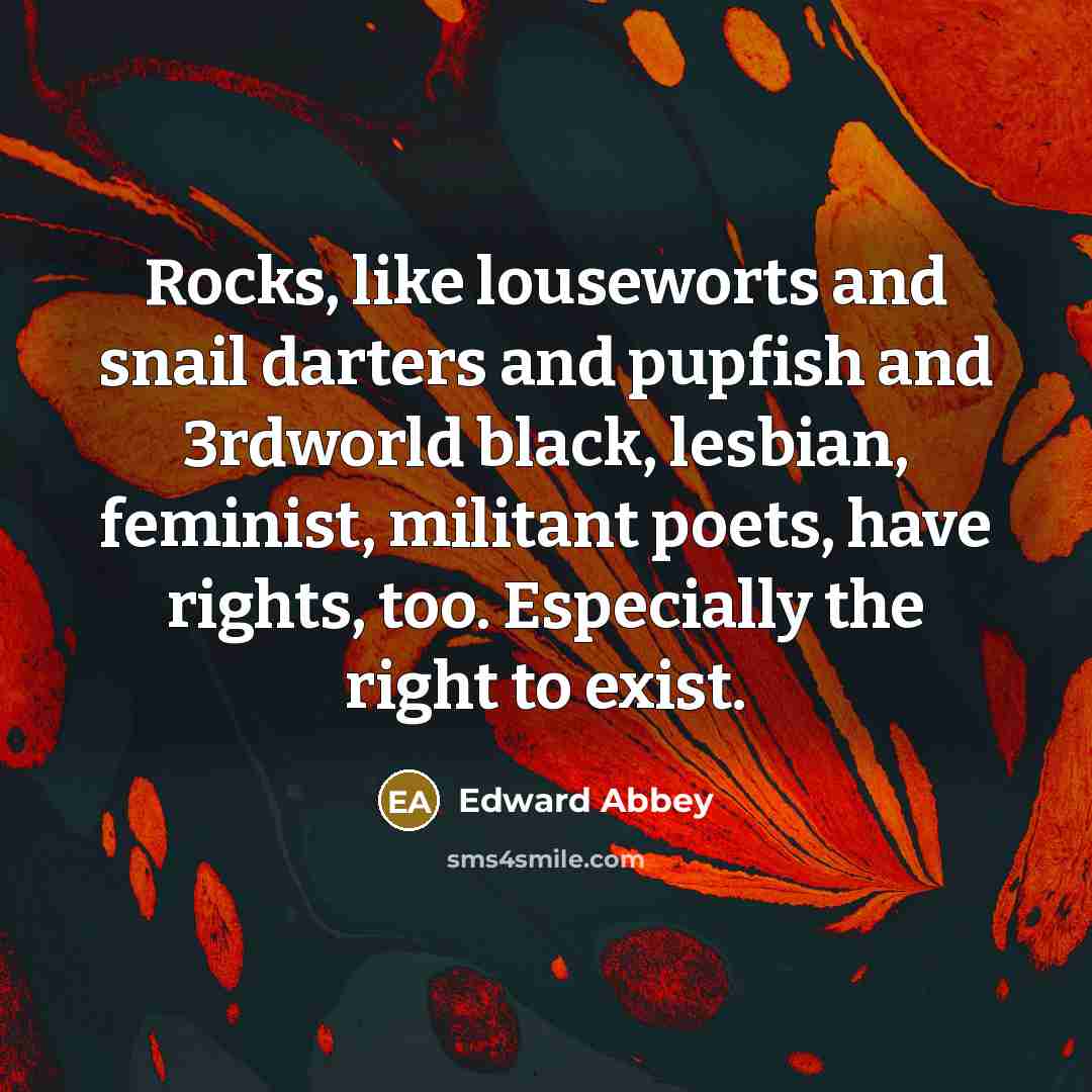 “Rocks, like louseworts and snail darters and pupfish and 3rdworld…” quote by Edward Abbey