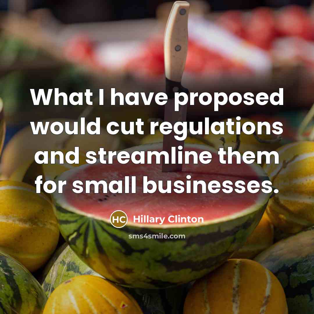 “What I have proposed would cut regulations and streamline them…” quote by Hillary Clinton
