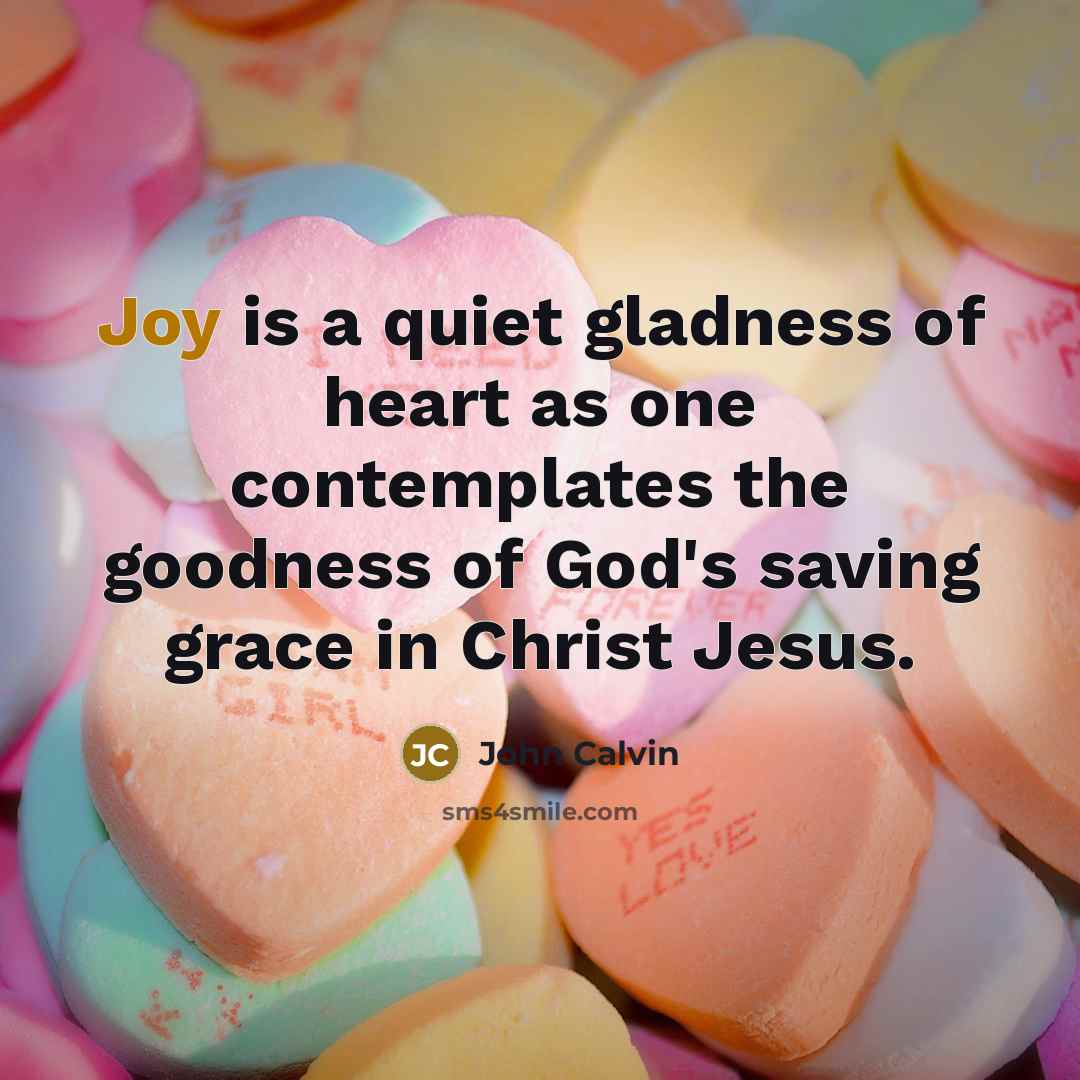 “Joy is a quiet gladness of heart as one contemplates…” quote by John Calvin
