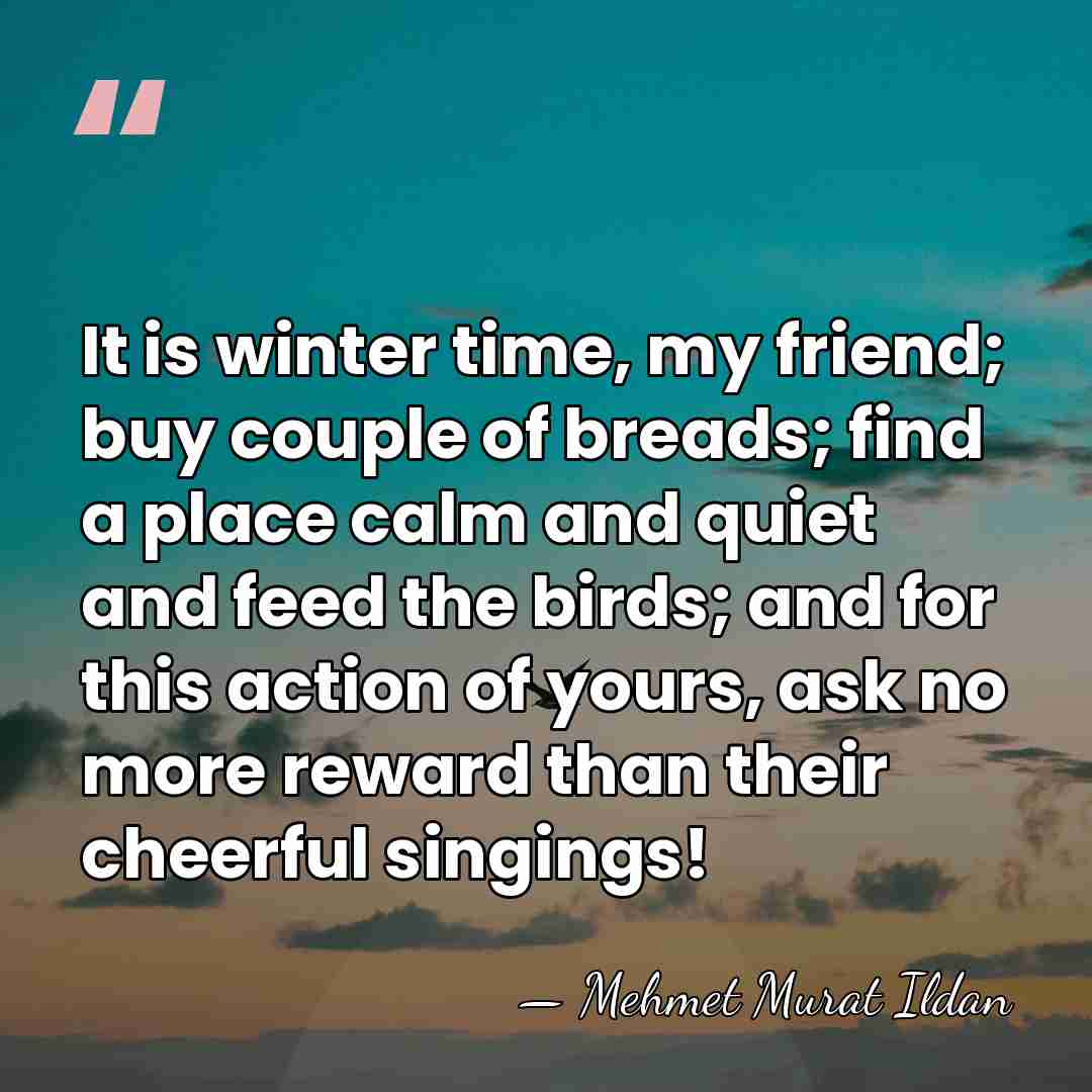 It is winter time, my friend; buy couple of breads; find a&hellip; - Mehmet Murat Ildan