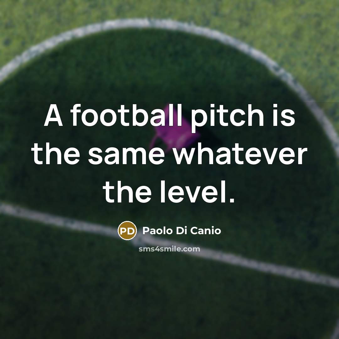“A football pitch is the same whatever the level.…” quote by Paolo di Canio
