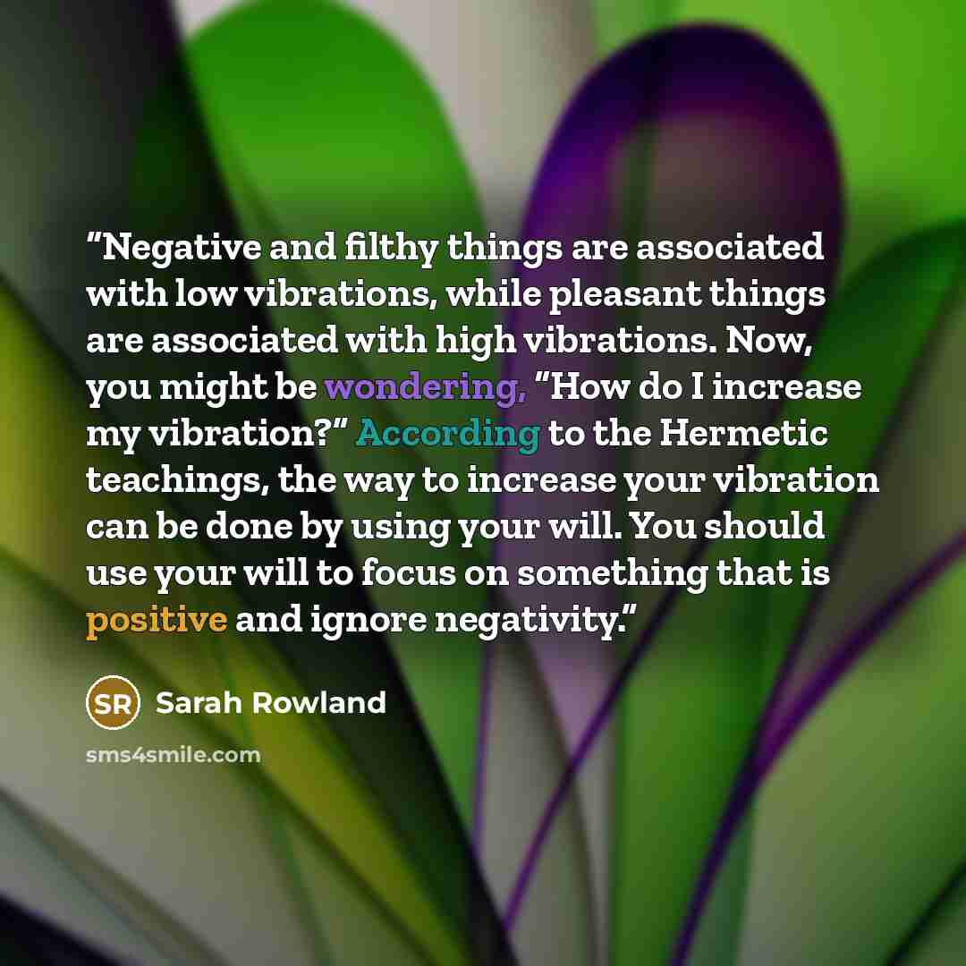“Negative and filthy things are associated with low vibrations, while pleasant things are associated with high vibrations. Now, you might be wondering, “How do I increase my vibration?” According to the Hermetic teachings, the way to increase your vibration can be done by using your will. You…” quote by Sarah Rowland