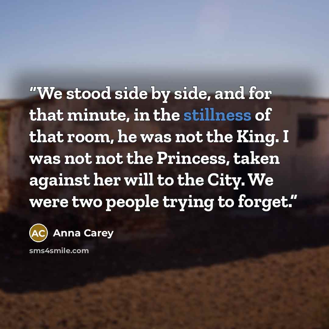 “We stood side by side, and for that minute, in the stillness of that room, he was not the King. I was not not the Princess, taken against her will to the City. We were two people trying to forget.” quote by Anna Carey